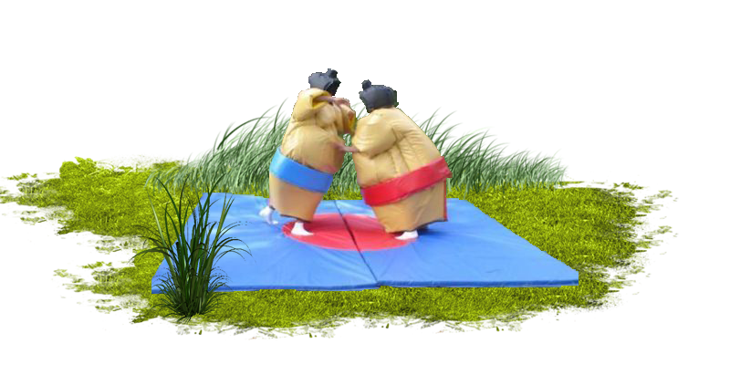 jeu-de-sumo1